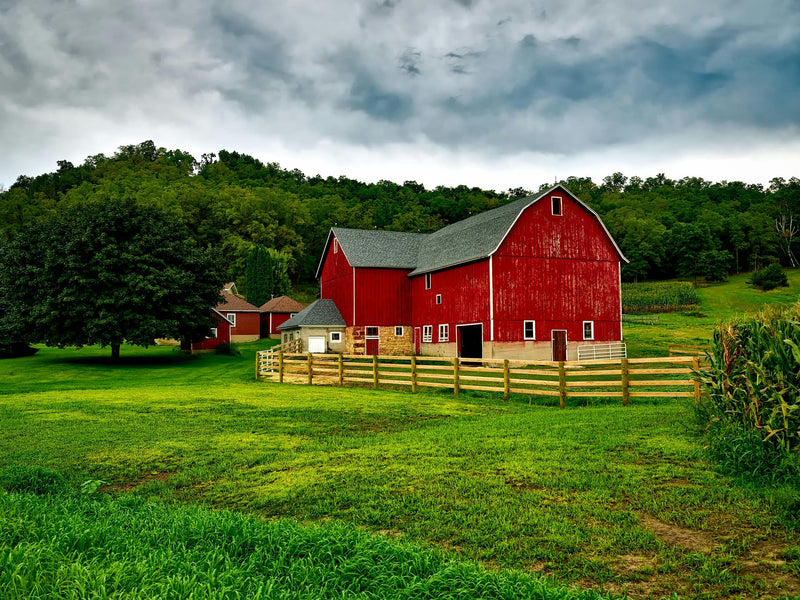 How to Choose the Right Cupola for Your Barn, Garage, or Shed